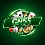 GN55