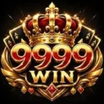 9999win