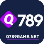 q789 Game