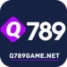 q789 Game
