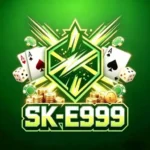 SK-E999